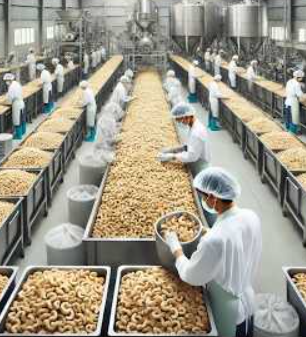 Revolutionizing Resource Planning in Cashew Processing